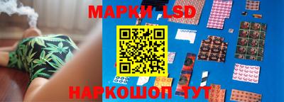 стаф Краснодар
