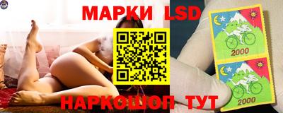 a pvp Краснознаменск