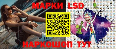 стаф Краснодар