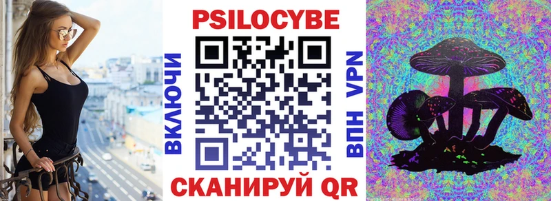 цены наркотик Кириши Псилоцибиновые грибы Psilocybine cubensis