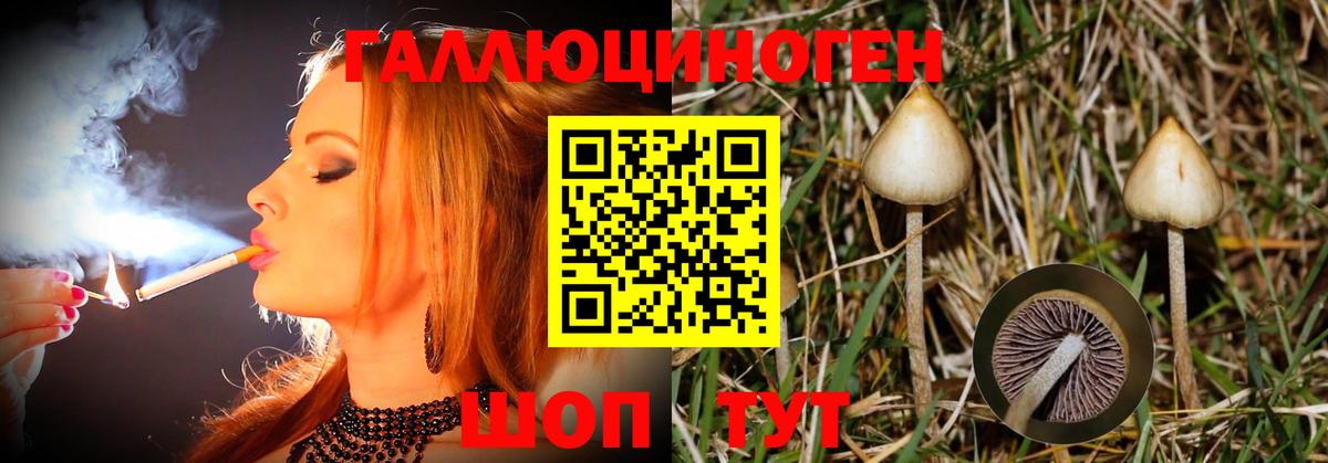 Галлюциногенные грибы Cubensis Кириши