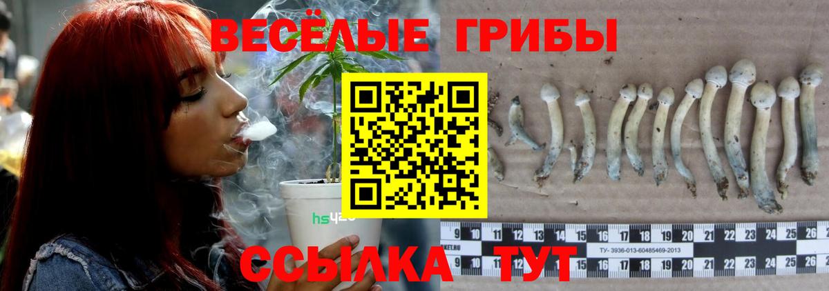 Галлюциногенные грибы Psilocybine cubensis  Вход с VPN  купить   Кириши 